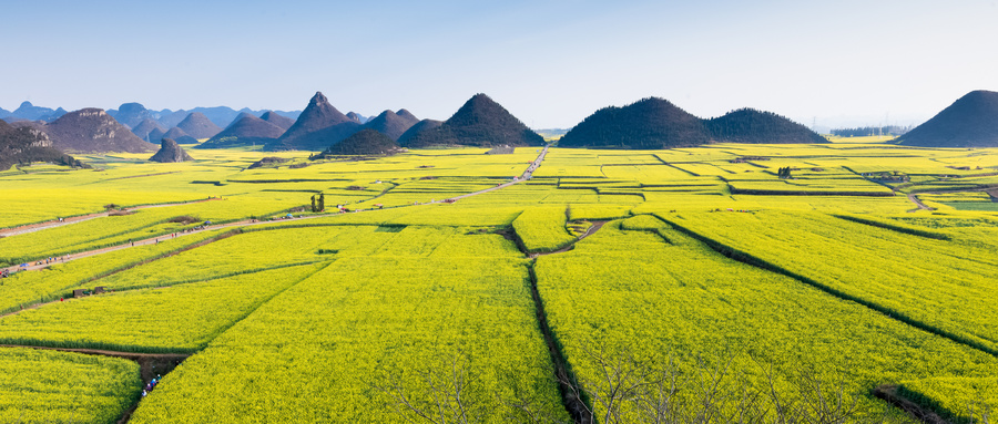 种植用地土壤检测报告