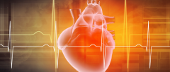 心脏支架检测项目报告 心脏支架检测标准