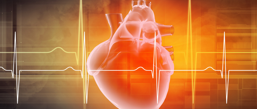 心脏支架检测项目报告