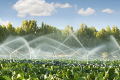 灌溉水检测项目报告 灌溉水检测标准