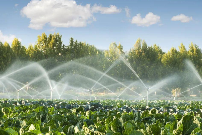 灌溉水检测项目报告