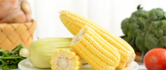 玉米检测报告 玉米检测指数有哪些