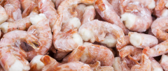 冷冻虾检测报告 冷冻虾检测方法和标准